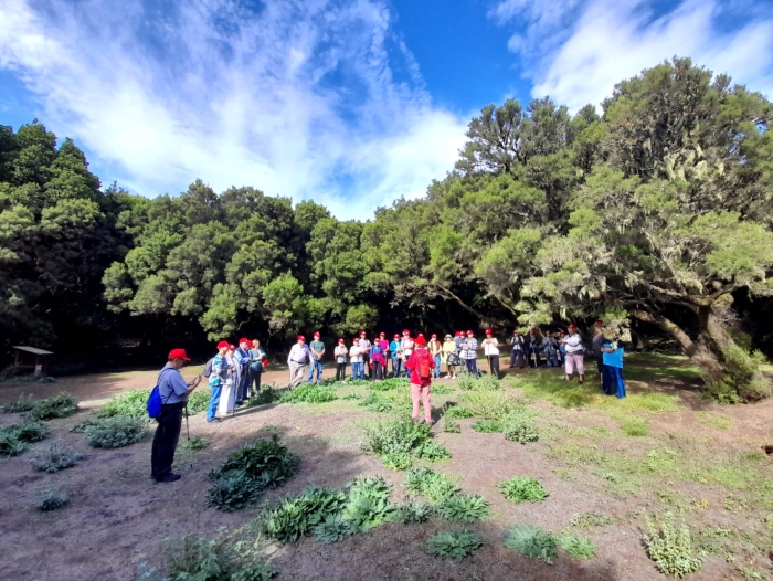 Actividades creativas, deportivas y de desarrollo cognitivo dirigidas a los mayores de La Frontera